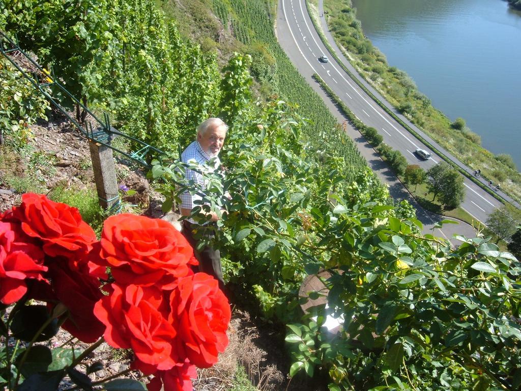 Kleines Winzerhauschen Villa Bremm Camera foto