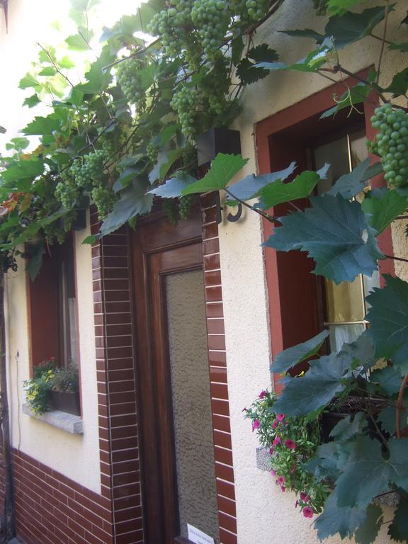 Kleines Winzerhauschen Villa Bremm Esterno foto